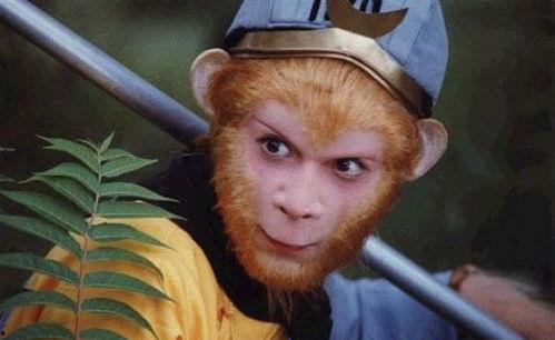 娱乐吃瓜酱西游记,西游记中的趣味解读与幕后故事