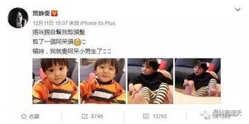 娱乐吃瓜酱招人烦,揭秘为何让人烦心不已